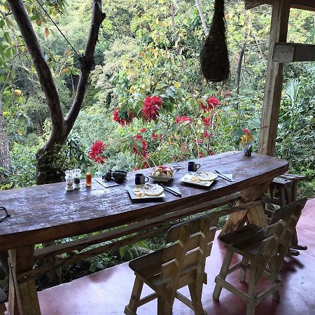 Finca San Rafael - Cafe Y Cacao Minca Eksteriør bilde