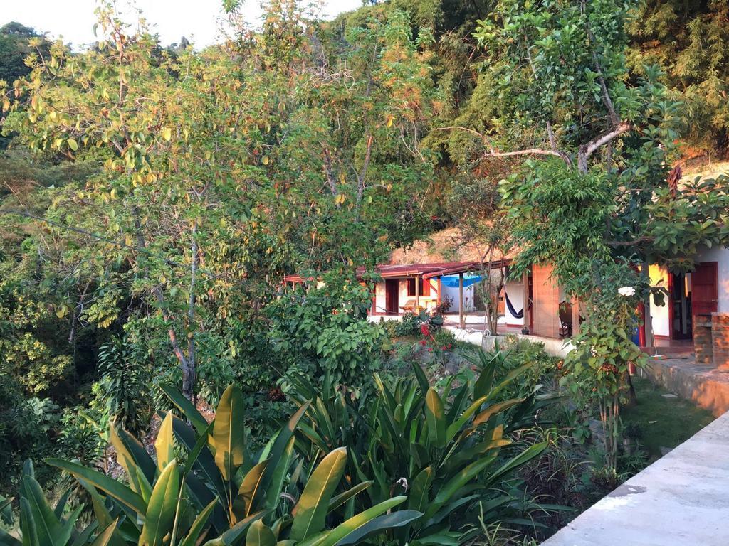 Finca San Rafael - Cafe Y Cacao Minca Eksteriør bilde