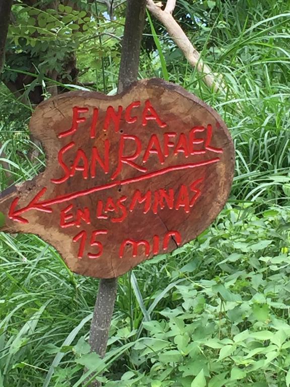 Finca San Rafael - Cafe Y Cacao Minca Eksteriør bilde