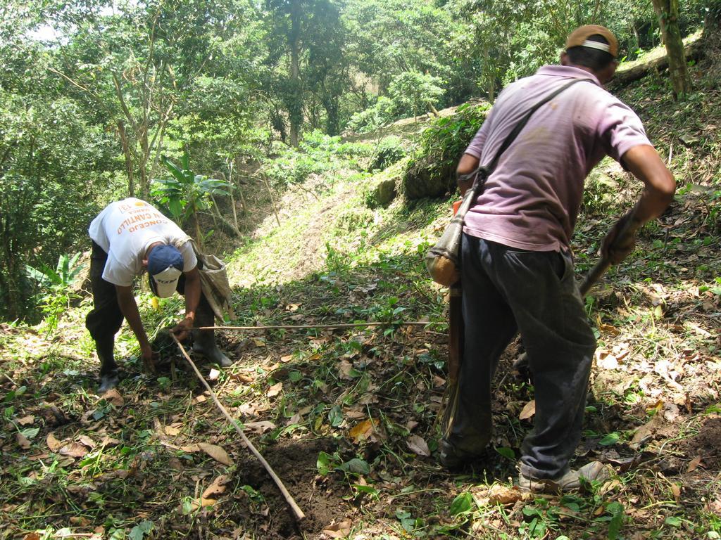 Finca San Rafael - Cafe Y Cacao Minca Eksteriør bilde