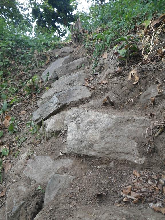 Finca San Rafael - Cafe Y Cacao Minca Eksteriør bilde