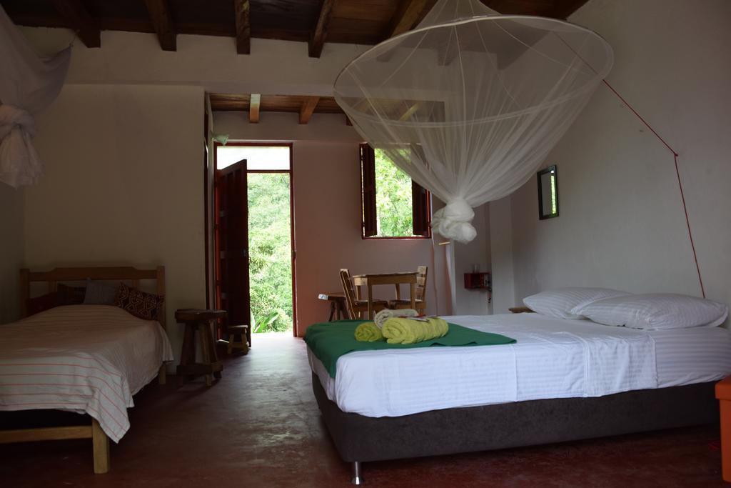 Finca San Rafael - Cafe Y Cacao Minca Eksteriør bilde