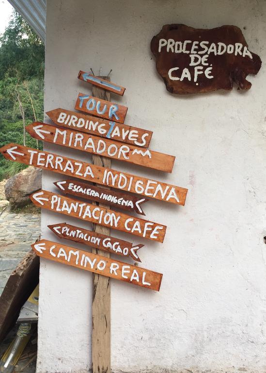 Finca San Rafael - Cafe Y Cacao Minca Eksteriør bilde