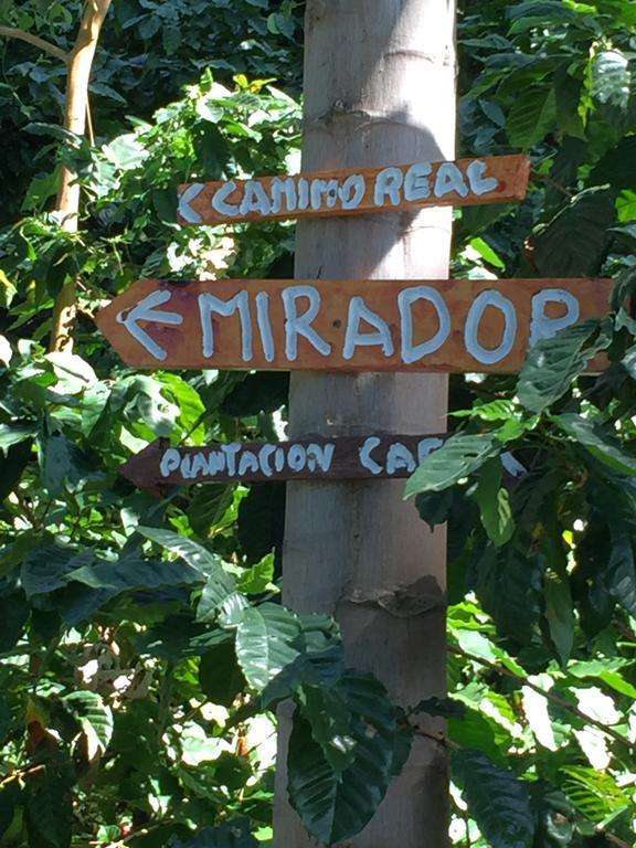 Finca San Rafael - Cafe Y Cacao Minca Eksteriør bilde