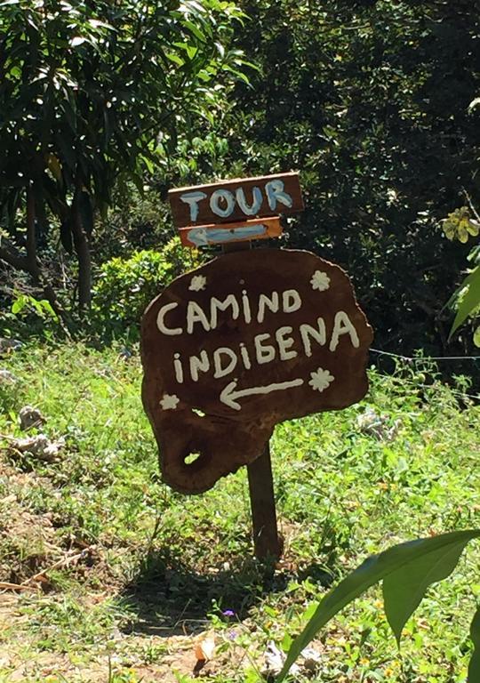 Finca San Rafael - Cafe Y Cacao Minca Eksteriør bilde