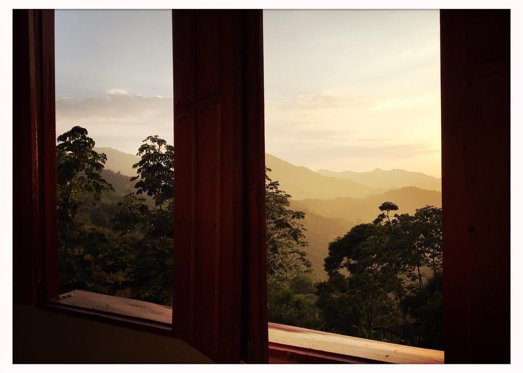 Finca San Rafael - Cafe Y Cacao Minca Eksteriør bilde
