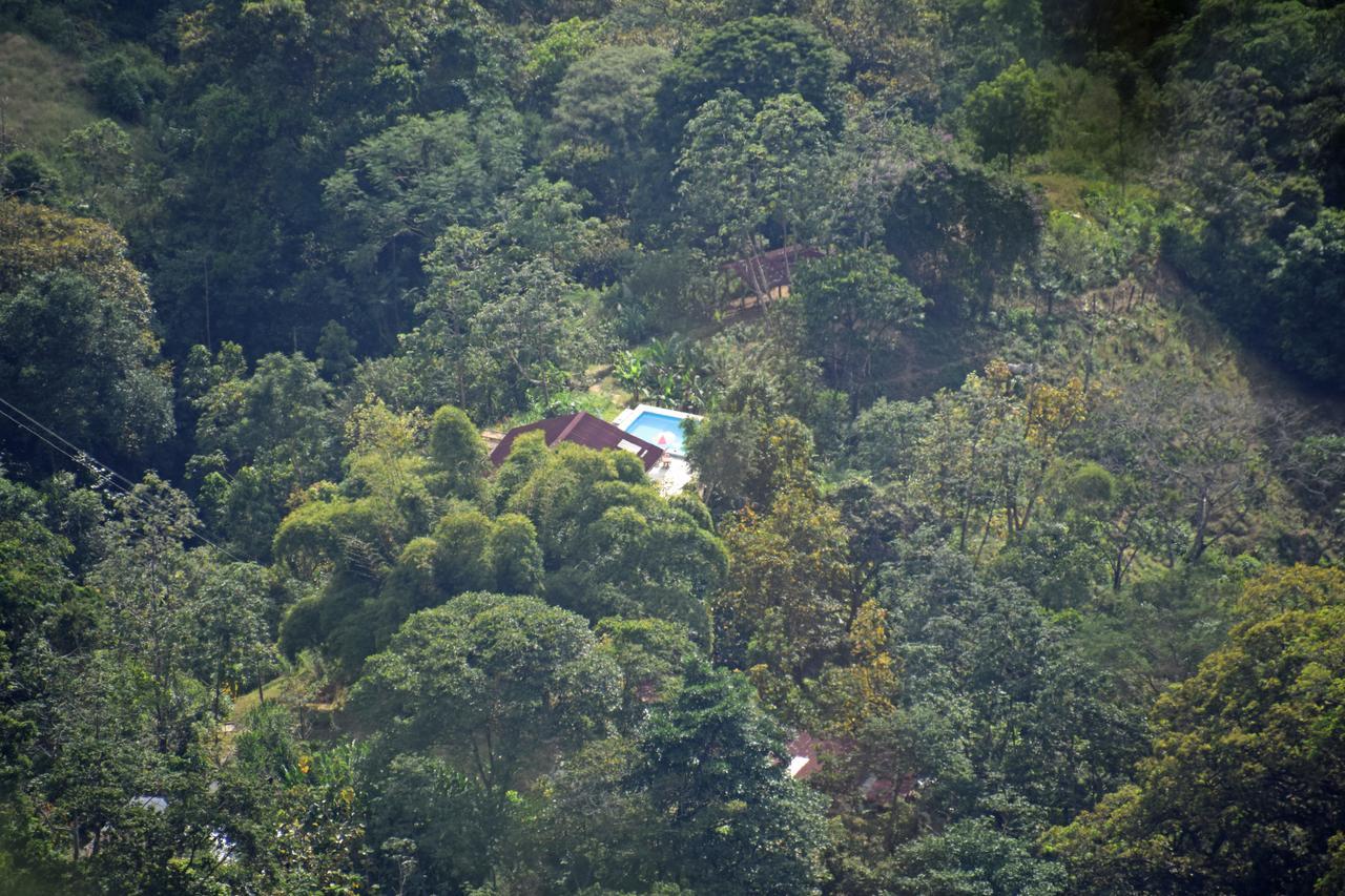 Finca San Rafael - Cafe Y Cacao Minca Eksteriør bilde