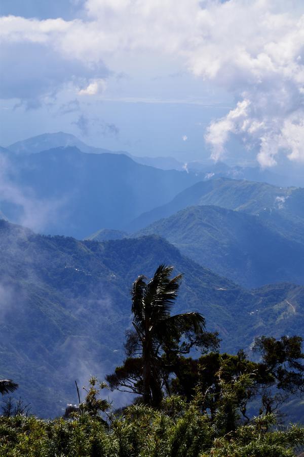 Finca San Rafael - Cafe Y Cacao Minca Eksteriør bilde